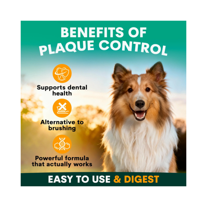 Petz Park Plaque Control Powder Supplement For Dogs - Image 9