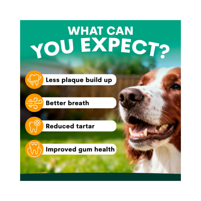 Petz Park Plaque Control Powder Supplement For Dogs - Image 7