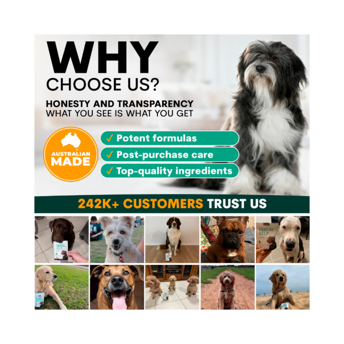 Petz Park Plaque Control Powder Supplement For Dogs - Image 3